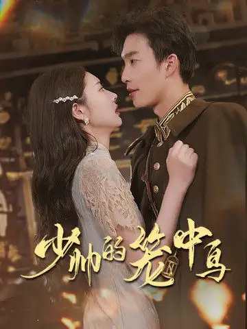 少帅的笼中鸟(70集)