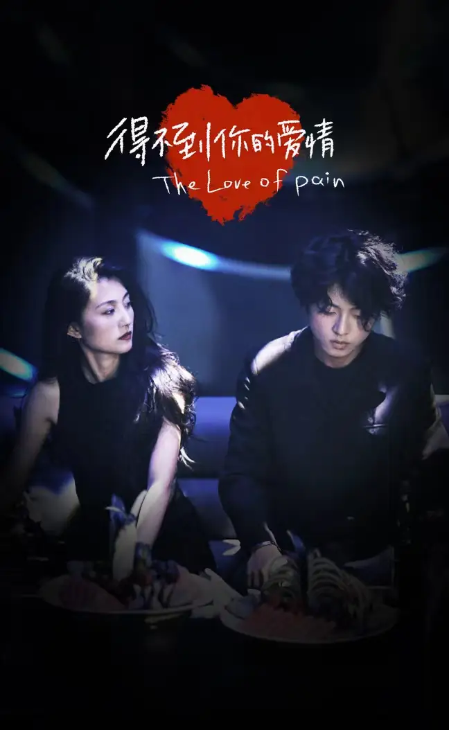 得不到你的爱情（80集）