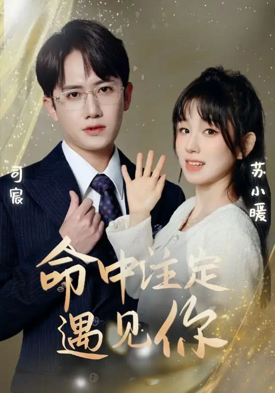 命中注定遇见你（96集）