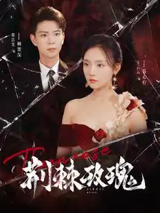 荆棘玫瑰（100集）