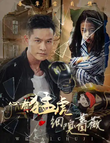 心有猛虎细嗅蔷薇(65集)