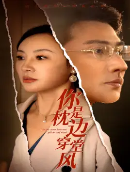 你是枕边穿堂风(78集)