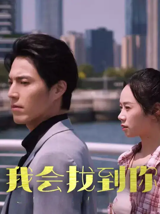 我会找到你（95集）