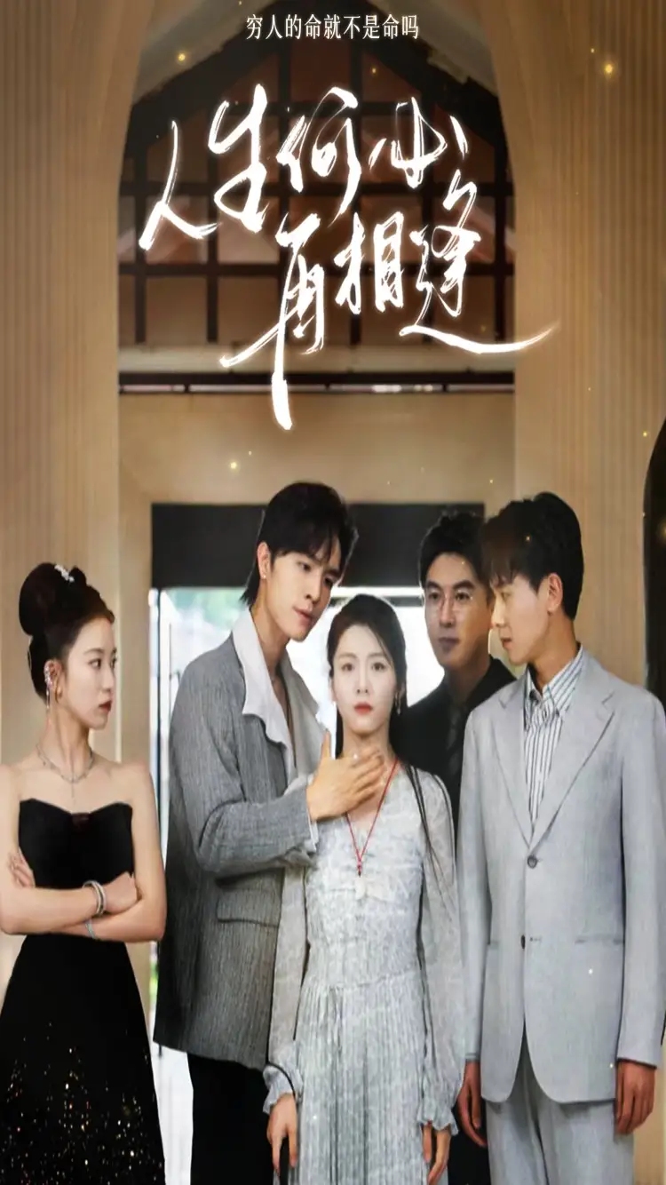 人生何必再相逢（80集）