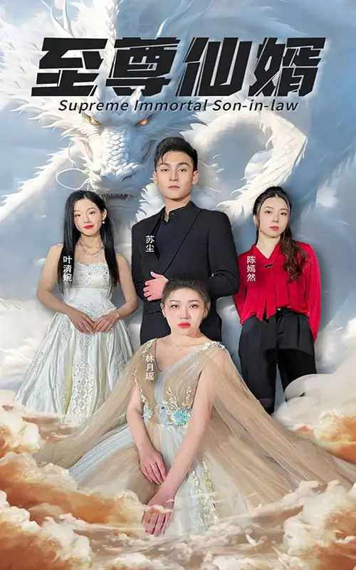 至尊仙婿（100集）