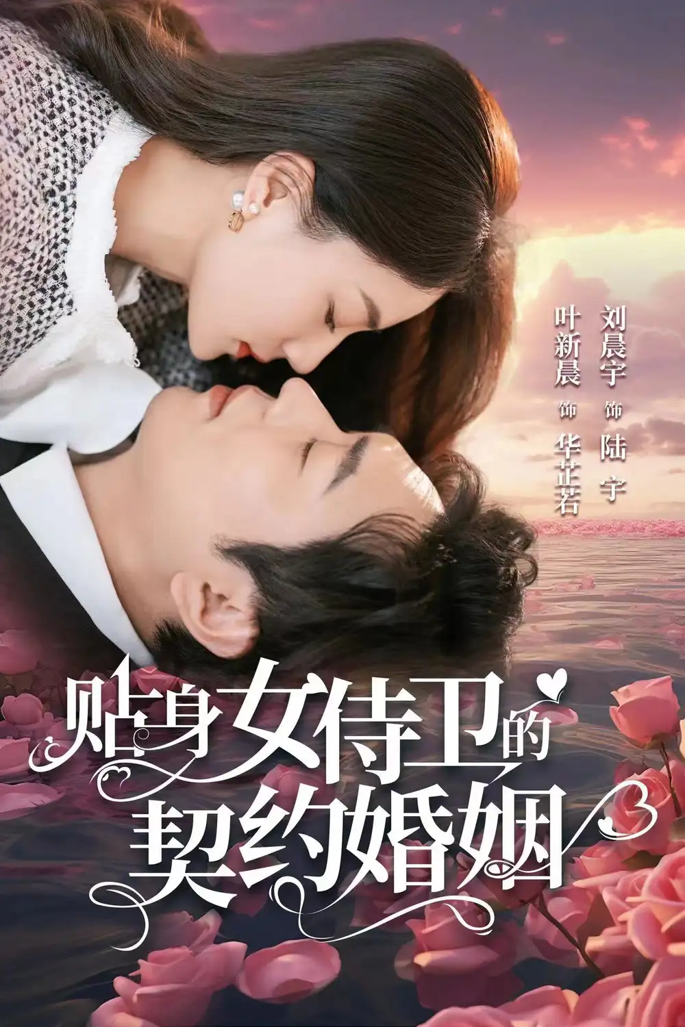 贴身女侍卫的契约婚姻（91集）