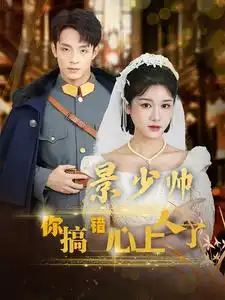 景少帅你搞错心上人了（100集）尚雨茜