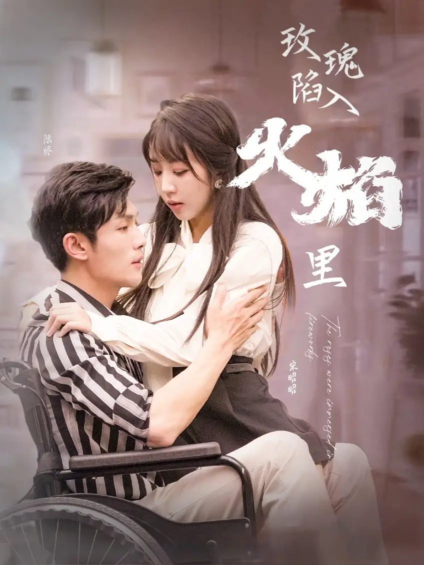 玫瑰陷入火焰里（100集）彭丹丹