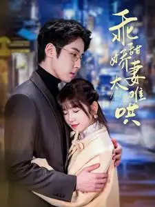 乖甜娇妻太难哄(100集)曲笑孝