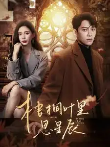 梧桐叶里思星辰(100集）