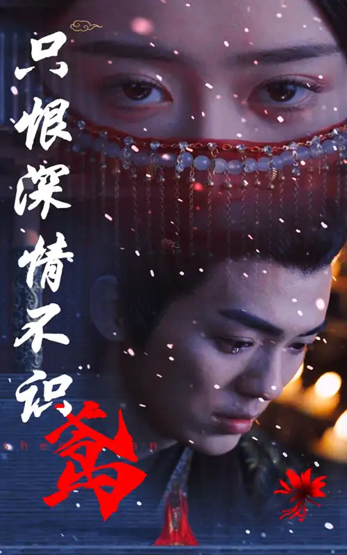 只恨深情不识鸢(83集)