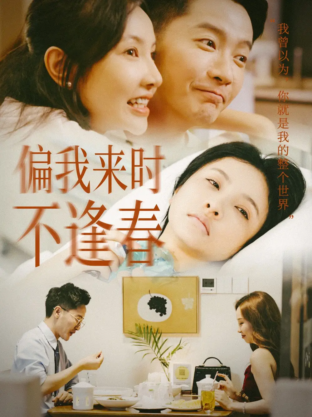 偏我来时不逢春(36集)