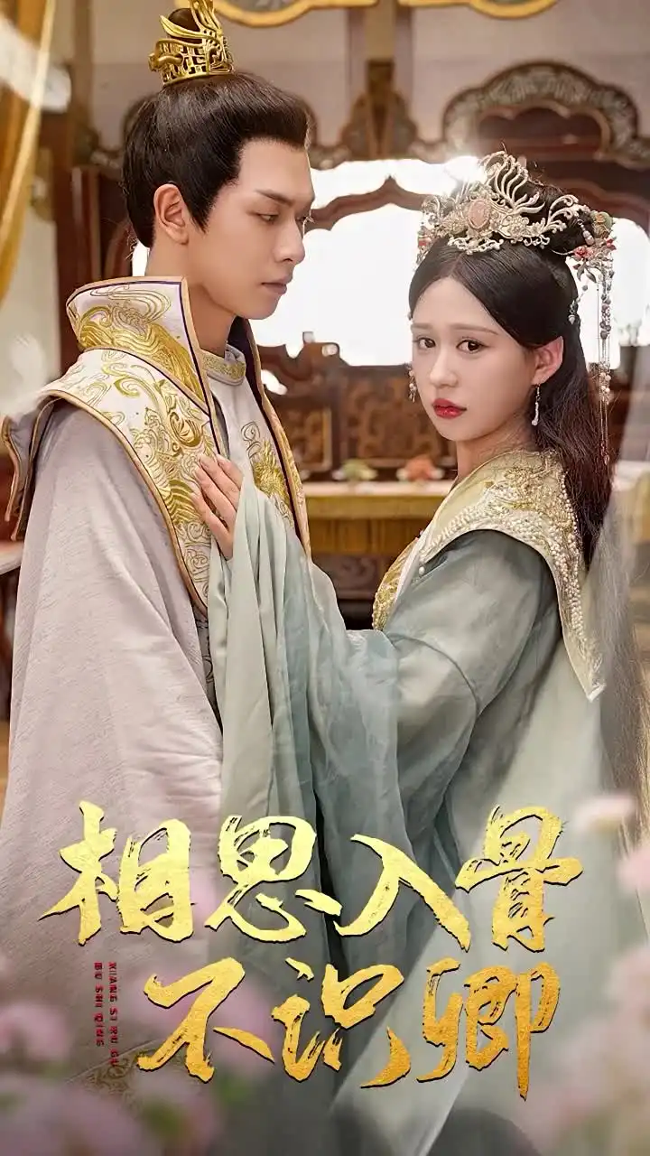 相思入骨不识卿(64集)柴慧欣