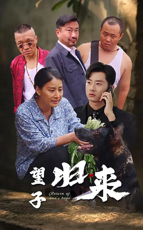 望子归来（50集）