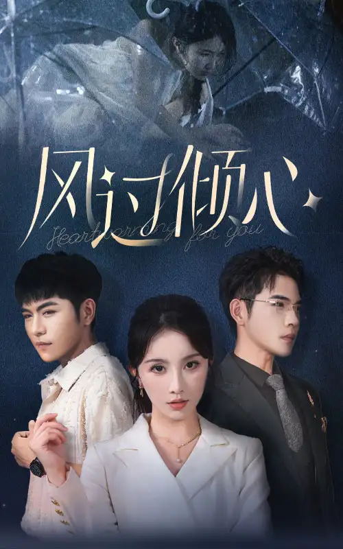 风过倾心(62集)