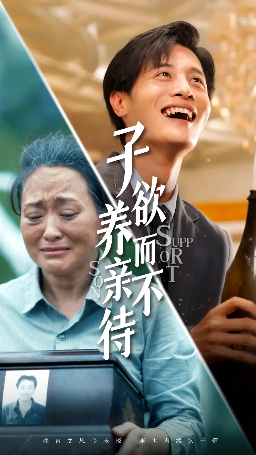 子欲养而亲不待(42集)