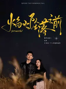 焰火坠落之前(99集)辛润茜