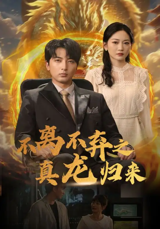 不离不弃之真龙归来（73集）