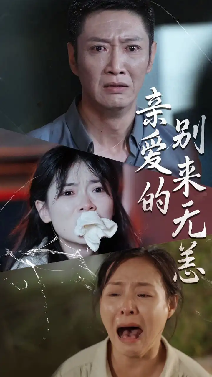 亲爱的别来无恙(36集)