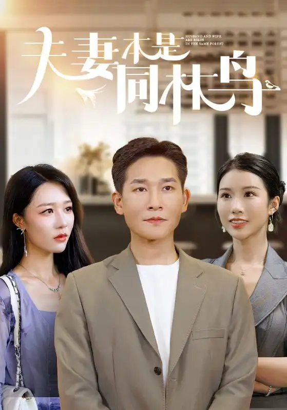 夫妻本是同林鸟(76集)李可馨&钟莹玲