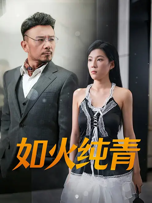 如火纯青(45集)