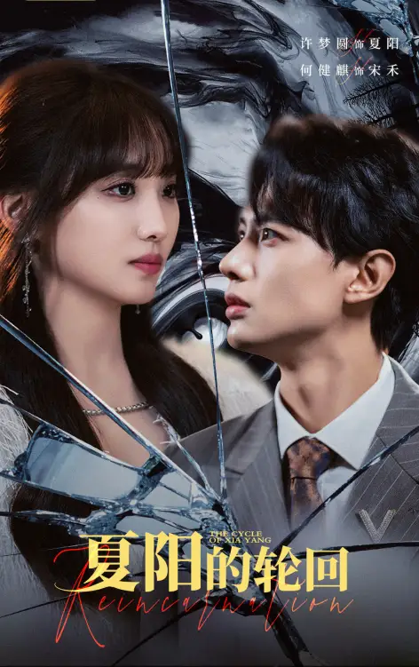 夏阳的轮回(85集)
