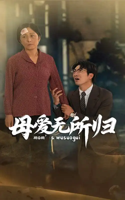 母爱无所归（33集）