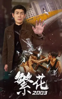 繁花2003（78集）爆款