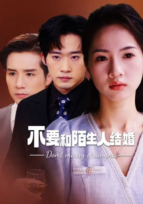 不要和陌生人结婚(90集)
