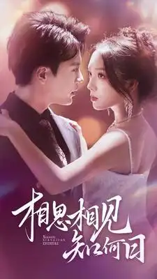 相思相见知何日（81集）