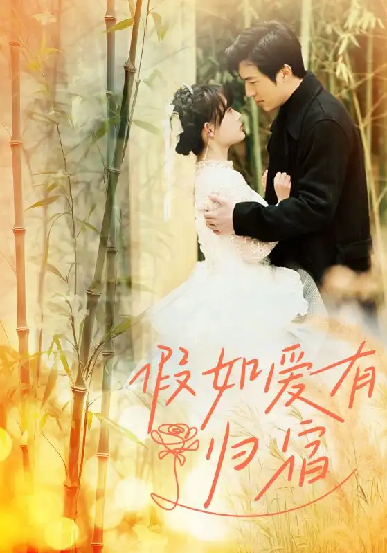 假如爱有归宿（73集）呆呆
