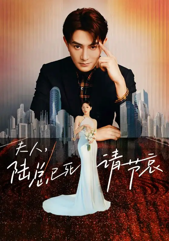 夫人，陆总已死请节哀(95集）