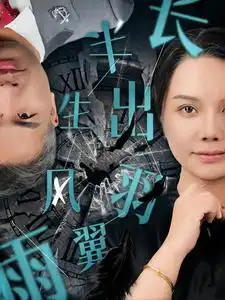 半生风雨长出羽翼（37集）