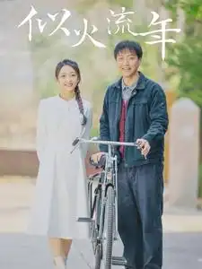 似火流年(100集)