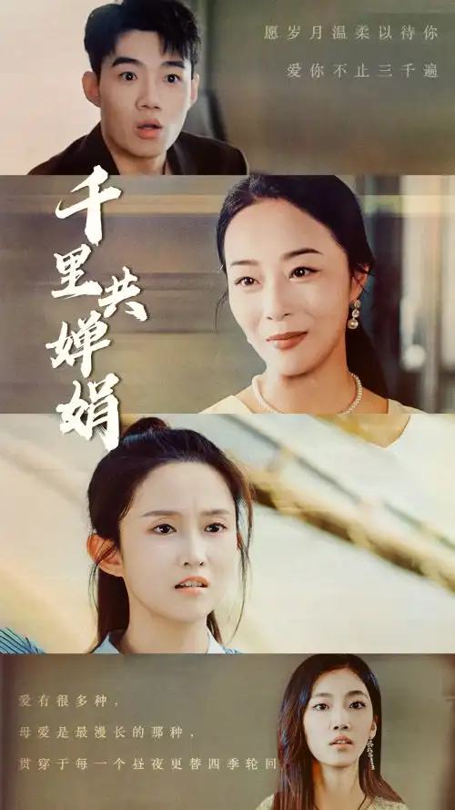 千里共婵娟(64集)