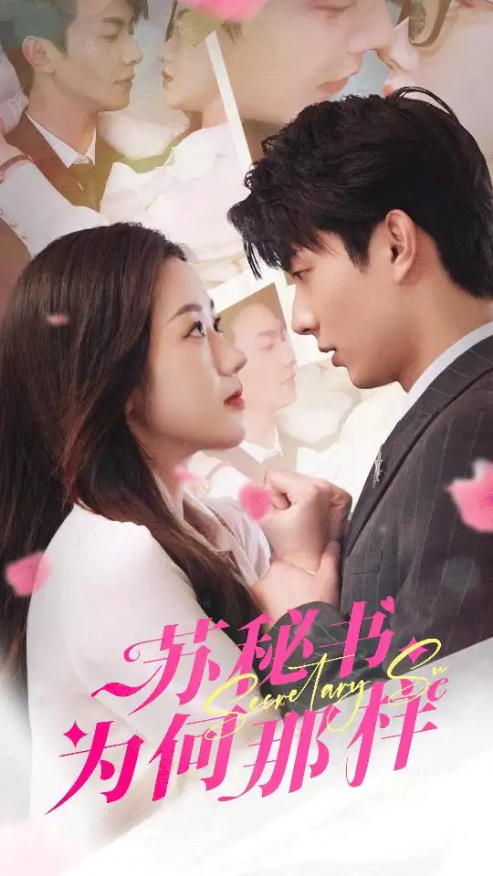 苏秘书为何那样$报告苏秘书，傅总想上位（96集）