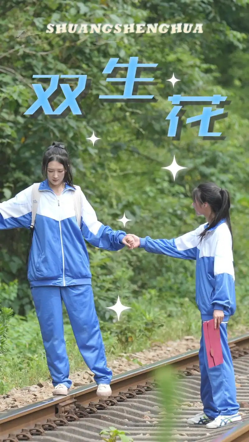 双生花（36集）