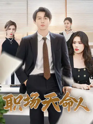 职场天命人（76集）浩子