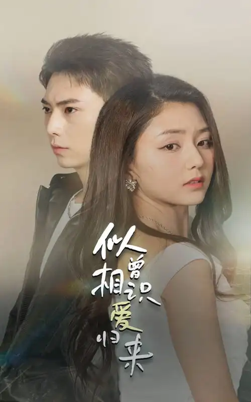 似曾相识爱归来（77集）