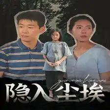 隐入尘埃（30集）