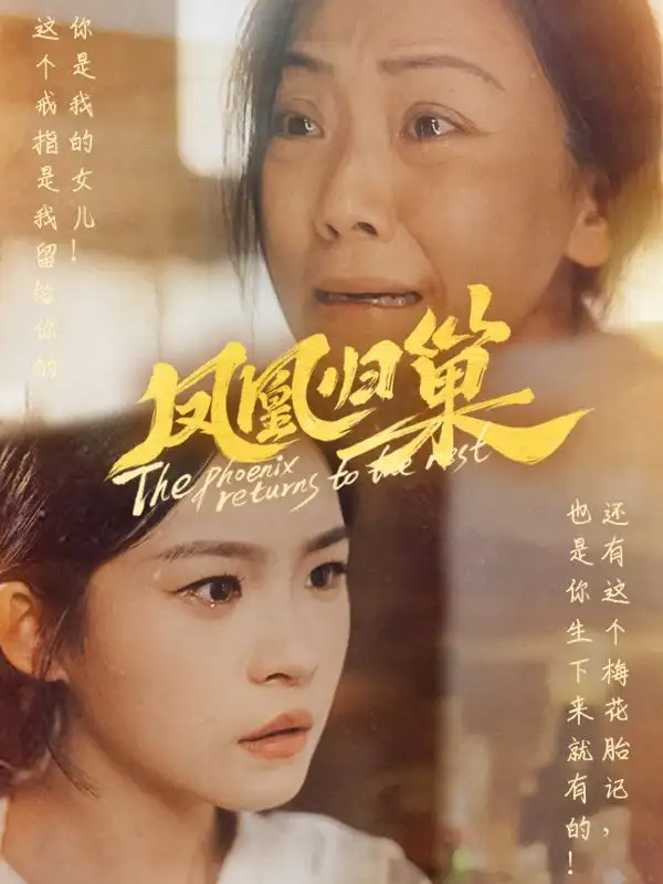 凤凰归巢(69集)