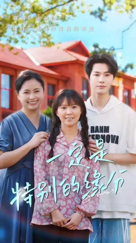 一定是特别的缘分(37集)