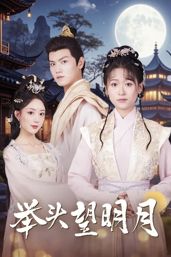 举头望明月(73集)王宇峰