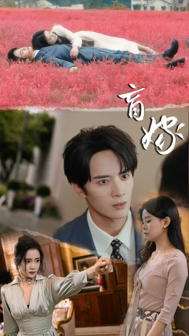 盲嫁（74集）陈冠峄&陆姝含