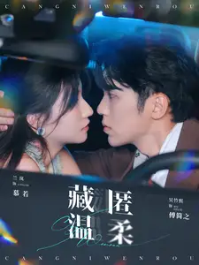 藏匿温柔（99集）兰岚