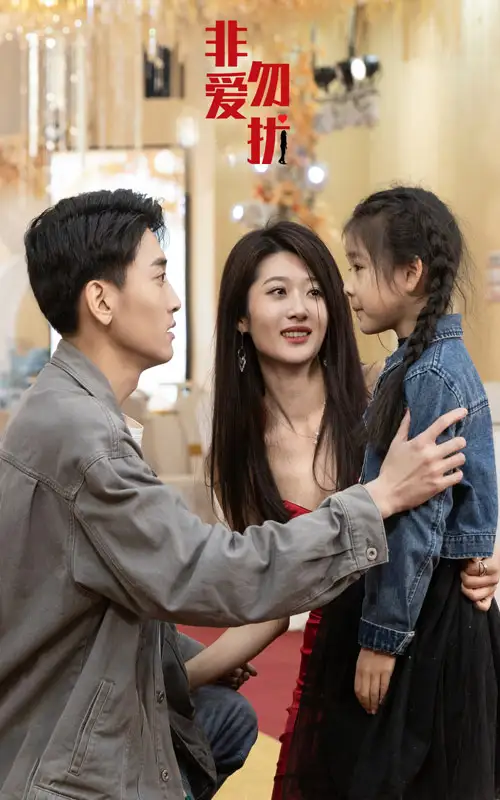 非爱勿扰（92集）