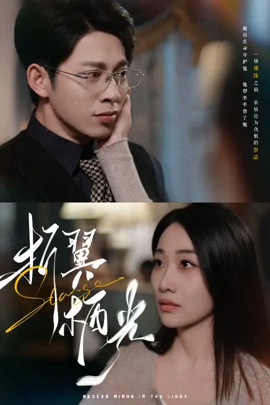 折翼栖光（43集）白杨滋&张钰静