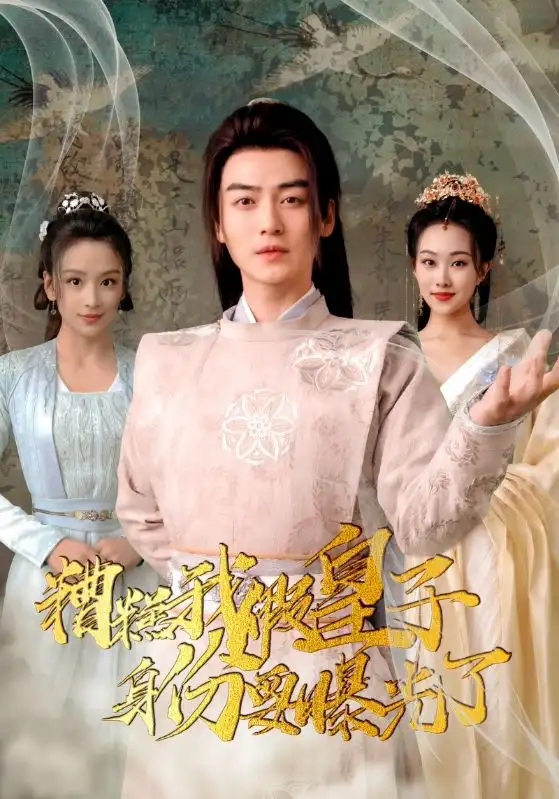 糟糕我假皇子的身份要曝光了（90集）