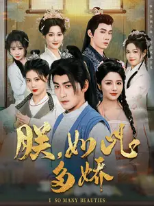 朕如此多娇（90集）