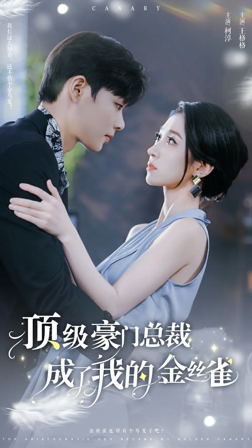 顶级豪门总裁成了我的金丝雀(85集)王格格&柯淳